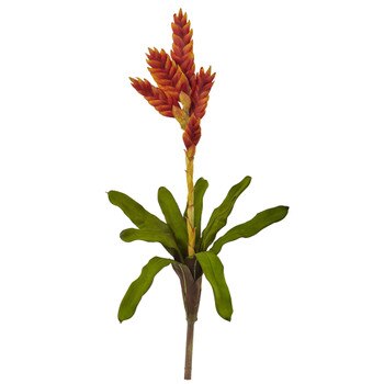23 Tropical Bromeliad Spary - SKU #2216-OD